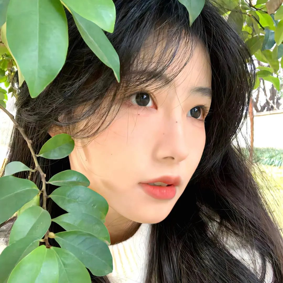爱丽丝